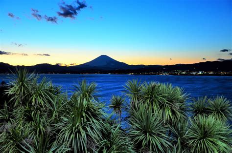 パシフィック湘南：海と都市の融合から見る未来の可能性